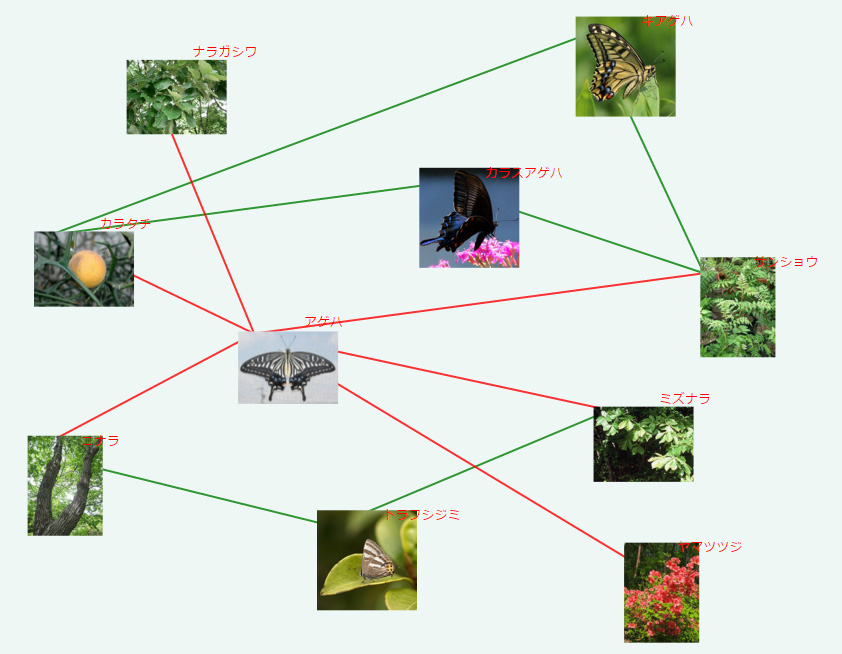 蝶類と食草のネットワーク