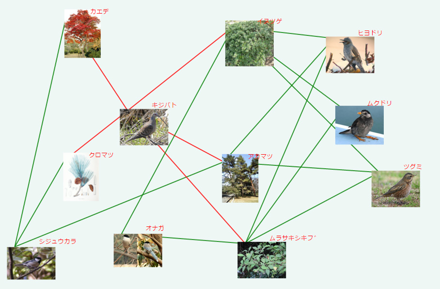 鳥類と樹木のネットワーク