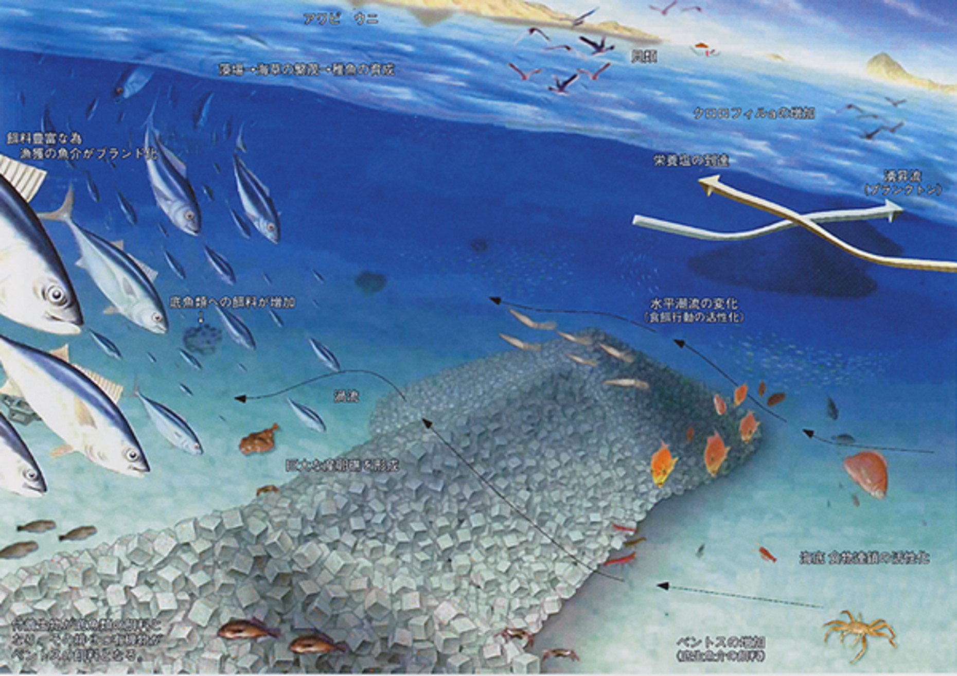 人工海底山脈のイメージ