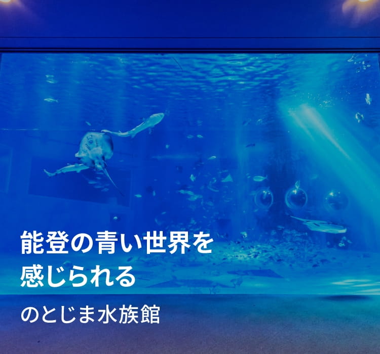 能登の青い世界を感じられる　のとじま水族館
