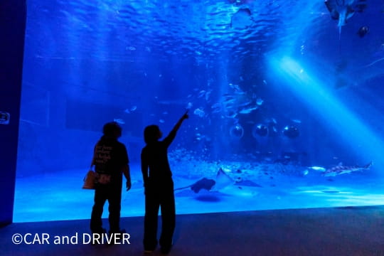 のとじま水族館 館内の様子
