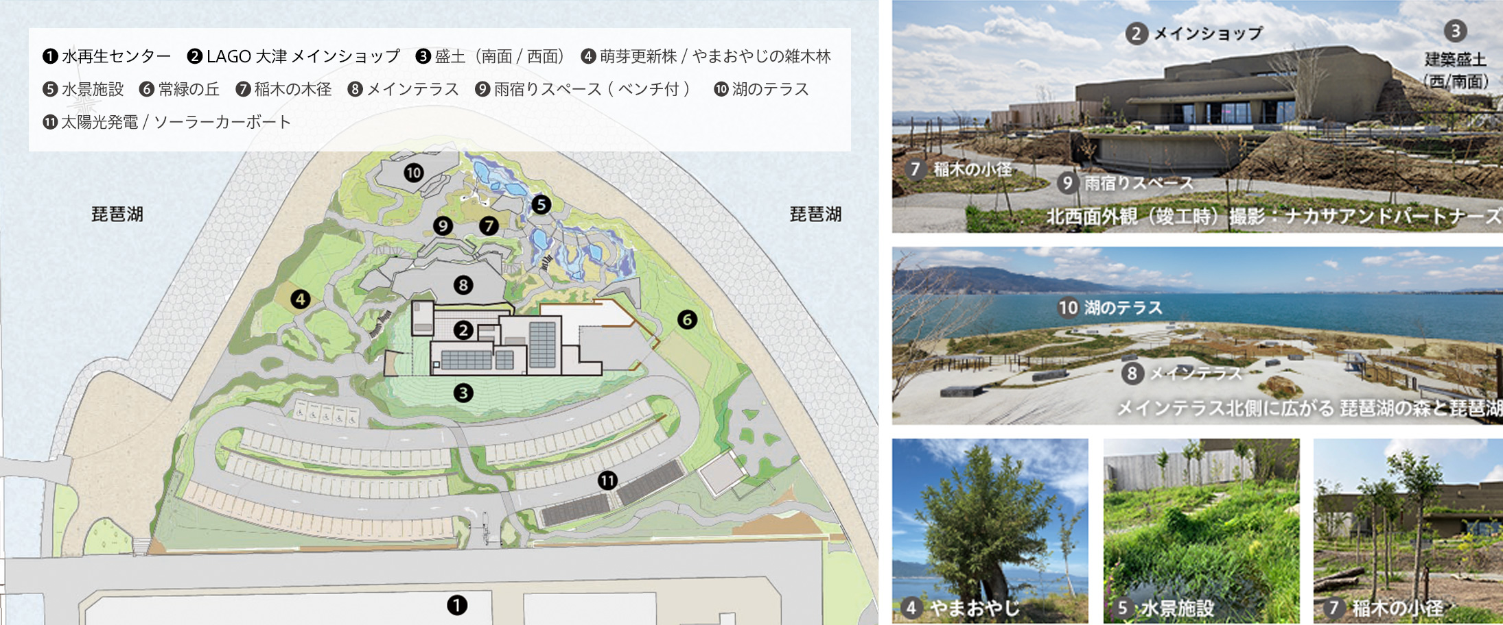 近江の里山・琵琶湖の森