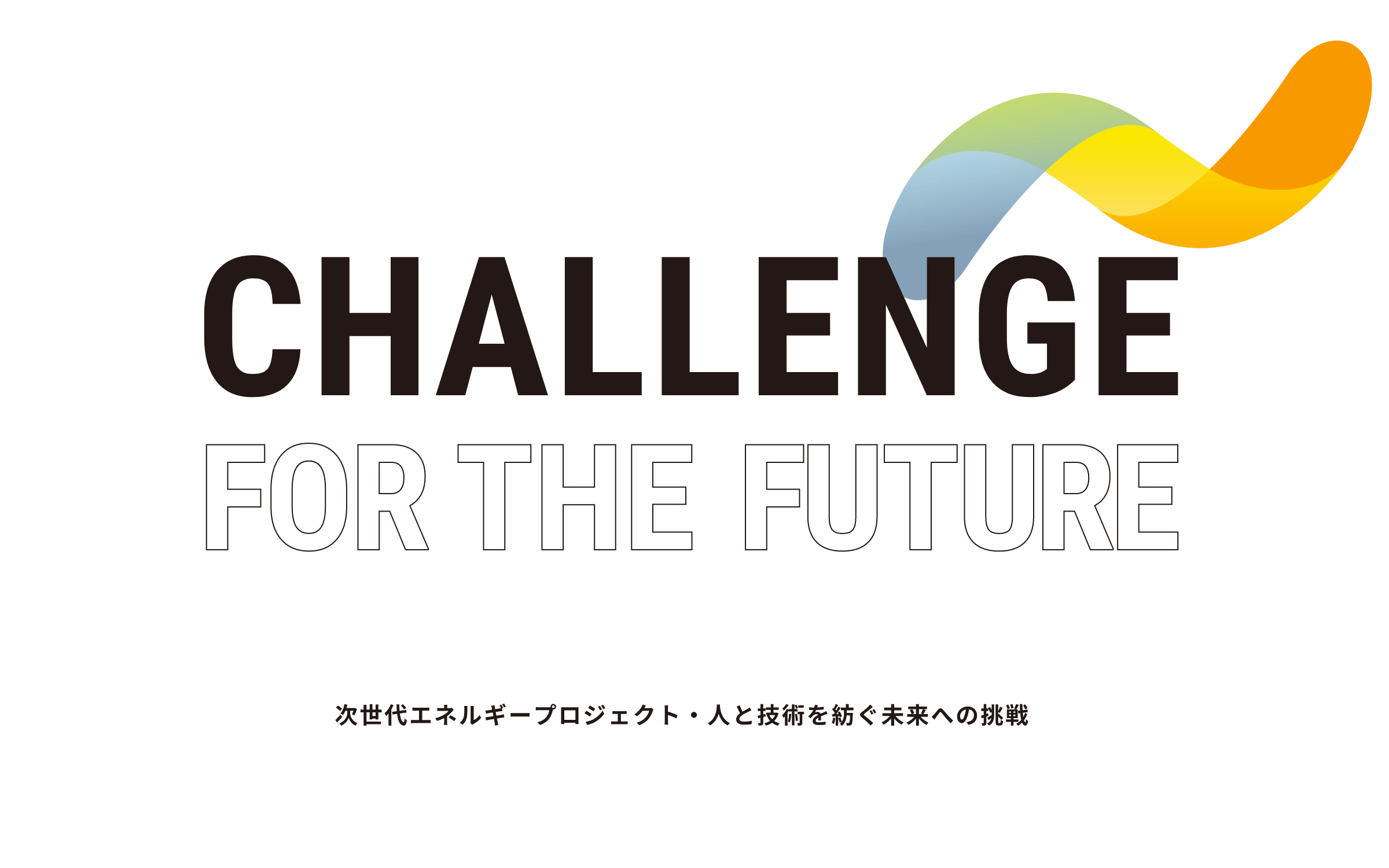 CHALLENGE FOR THE FUTURE